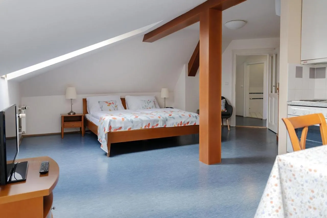 Apartahotel Sibelius Apartments Praga